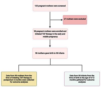 Safety and Efficacy of Tenofovir Alafenamide Fumarate in Early-Middle Pregnancy for Mothers With Chronic Hepatitis B